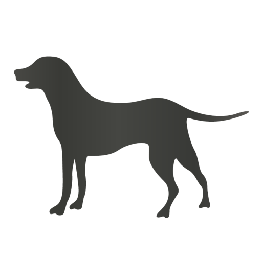 KÖPEK ÜRÜNLERİ